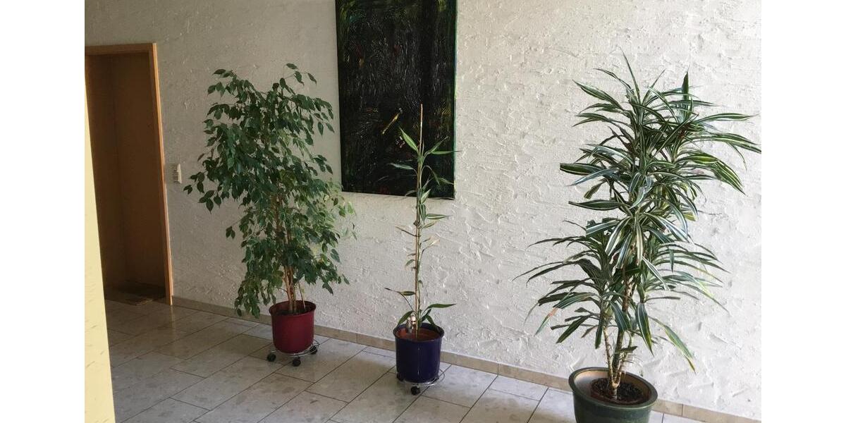 Etagenwohnung Bergheim Ahe - 2 Zimmer, 47 m&sup2;, 174.500&euro; | Angebot:25340676