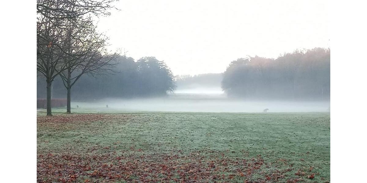 Eigentumswohnung stadtnah und im grünen Kölner Süden privat 3 zimmer