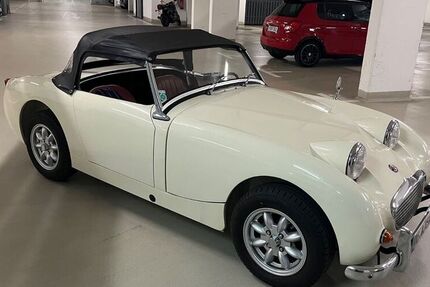 Austin Healey Andere