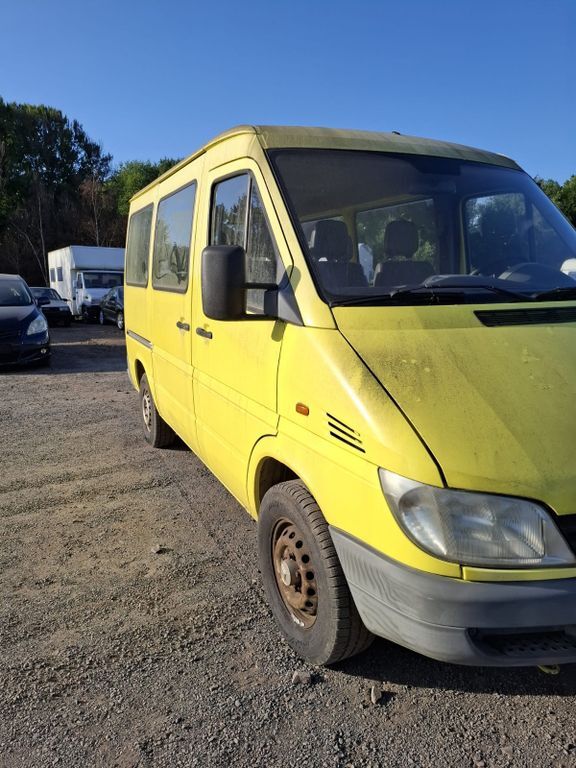 Sprinter