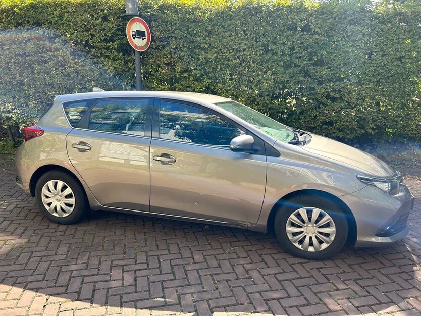 Auris