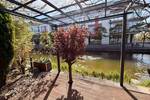 Einfamilienhaus Köln Junkersdorf - 5 Zimmer, 174 m&sup2;, 1.340.000&euro; | Angebot:26410807