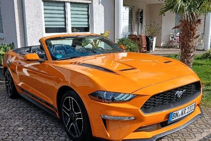 Ford Mustang 80.000 km 20.500 &euro; Bonn 53125