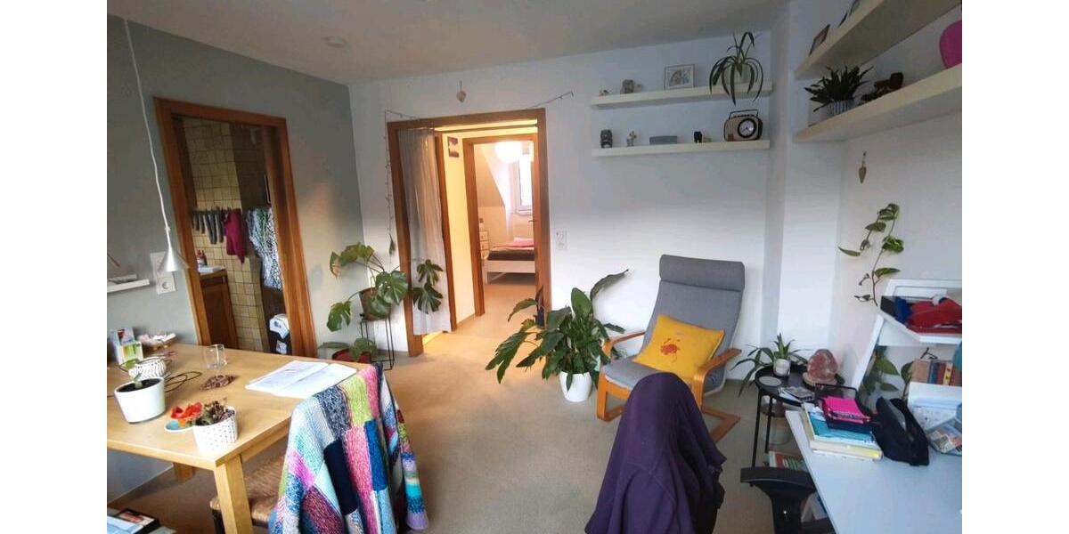 3ZKDB in Bonn-Kessenich zu vermieten 3 zimmer