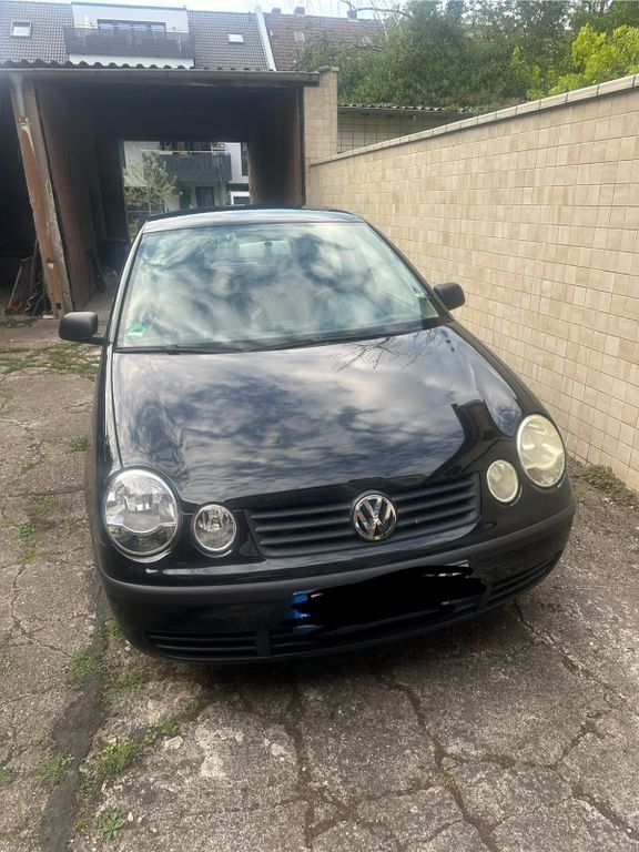 Polo