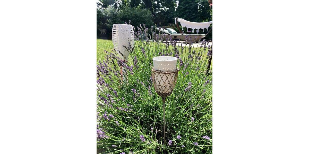 Mehrfamilienhaus, Wohnhaus Leverkusen Bergisch Neukirchen - 9.5 Zimmer, 308 m&sup2;, 880.000&euro; | Angebot:26326061