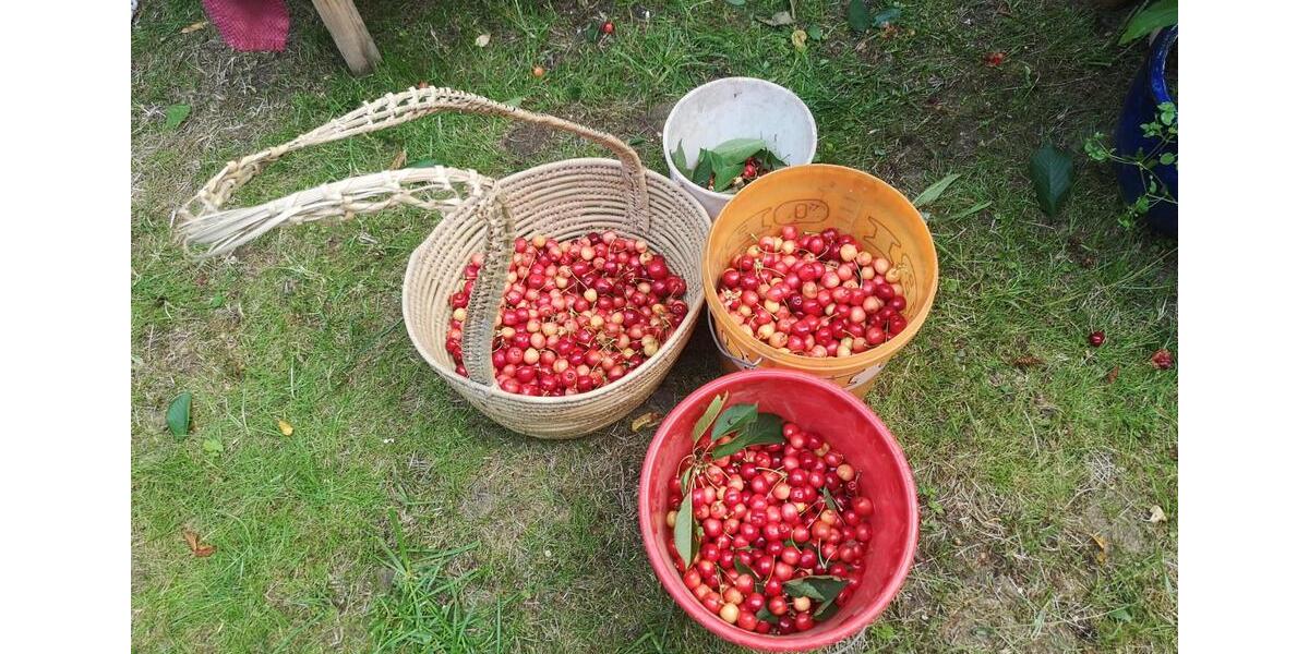 Etagenwohnung Bonn Poppelsdorf - 2 Zimmer, 85 m&sup2;, 1.200&euro; | Angebot:25551499