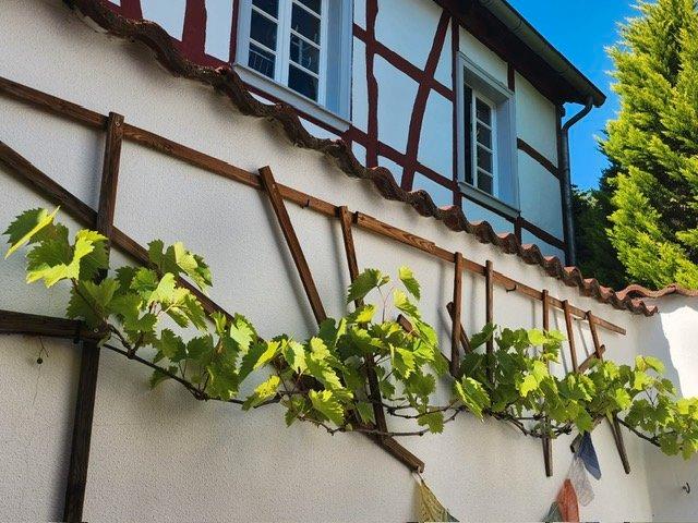 Reihenhaus Köln Innenstadt - 3 Zimmer, 93 m&sup2;, 1.200&euro; | Angebot:26592490