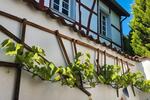 Reihenhaus Köln Innenstadt - 3 Zimmer, 93 m&sup2;, 1.200&euro; | Angebot:26592490