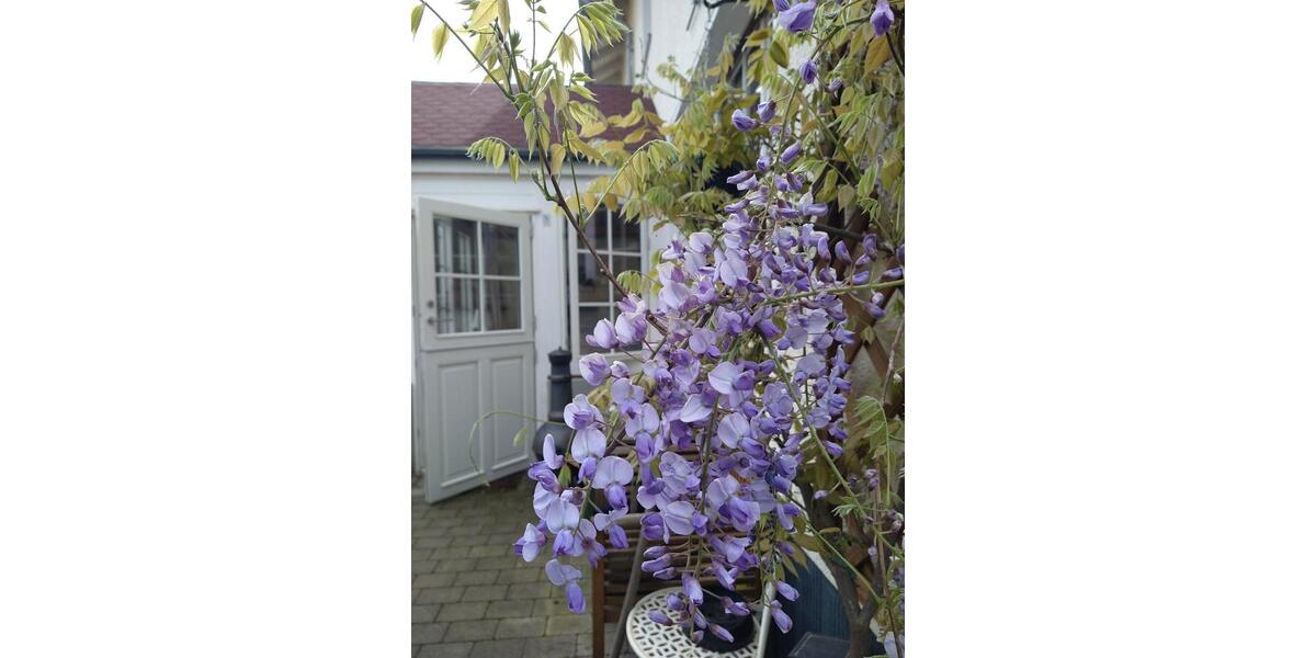 Doppelhaushälfte Bergisch Gladbach Gronau - 6 Zimmer, 125 m&sup2;, 544.000&euro; | Angebot:26838003