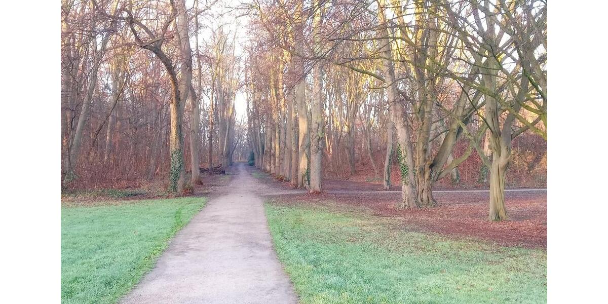 Eigentumswohnung stadtnah und im grünen Kölner Süden privat 3 zimmer