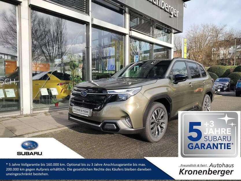 Forester