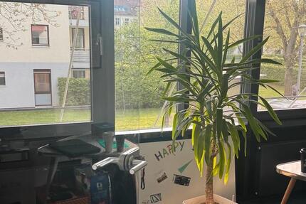 Gewerbeobjekt Köln Lindenthal - 264&euro; | Angebot:26285812