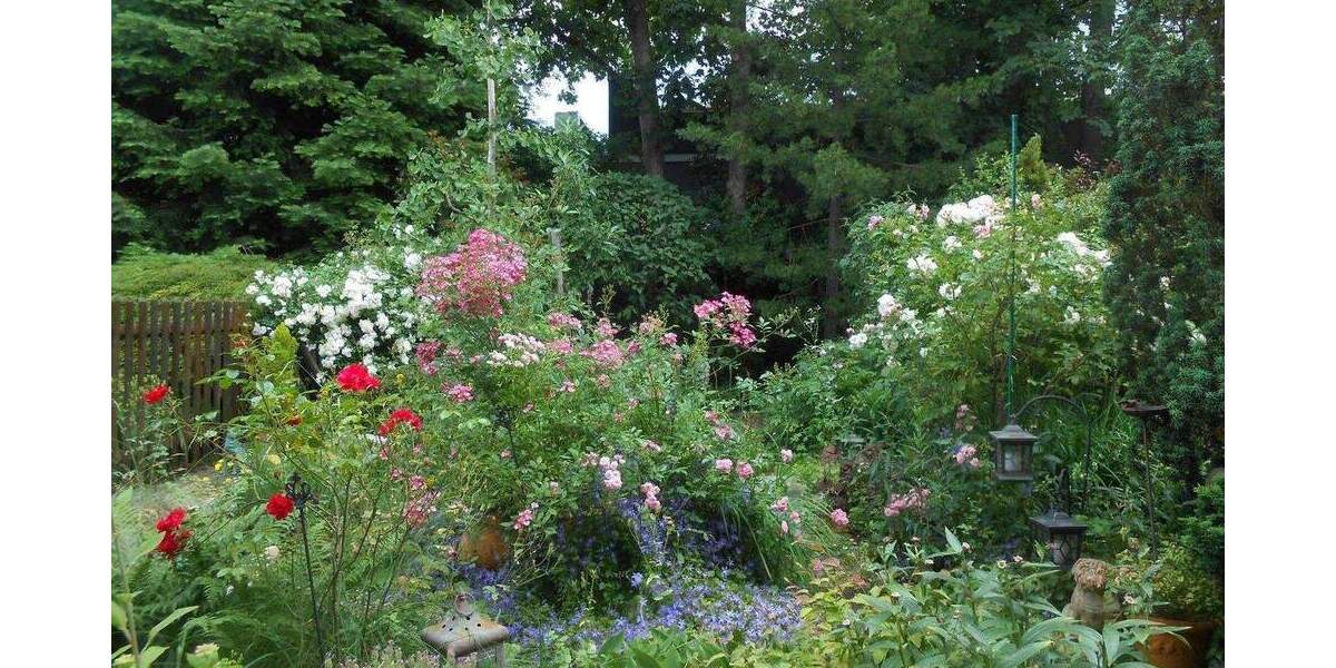 Mehrfamilienhaus, Wohnhaus Köln Höhenhaus - 5 Zimmer, 135 m&sup2;, 455.000&euro; | Angebot:25377975