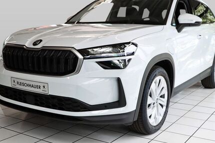Skoda Kodiaq 3.000 km 49.880 &euro; Bonn 53119