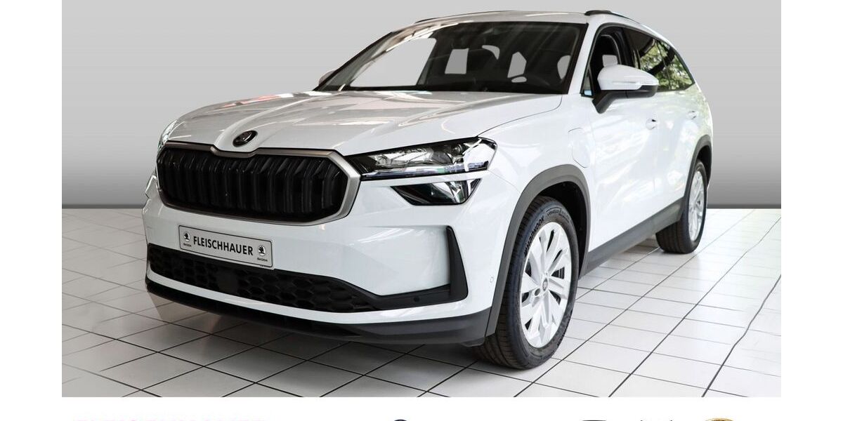Skoda Kodiaq 3.000 km 49.880 &euro; Bonn 53119