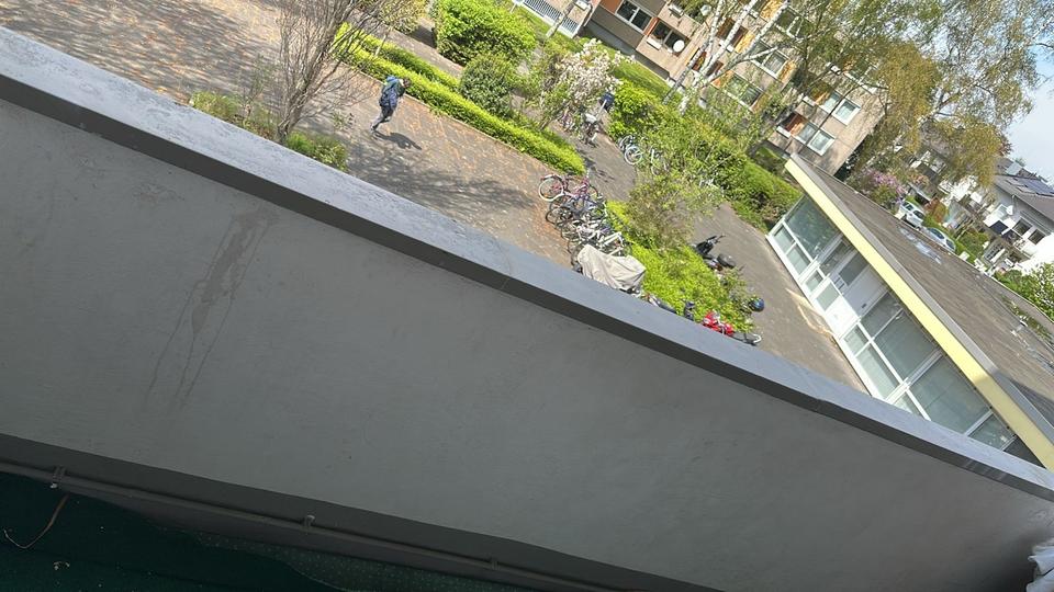 Etagenwohnung Bonn Küdinghoven - 1 Zimmer, 30 m&sup2;, 550&euro; | Angebot:26330097