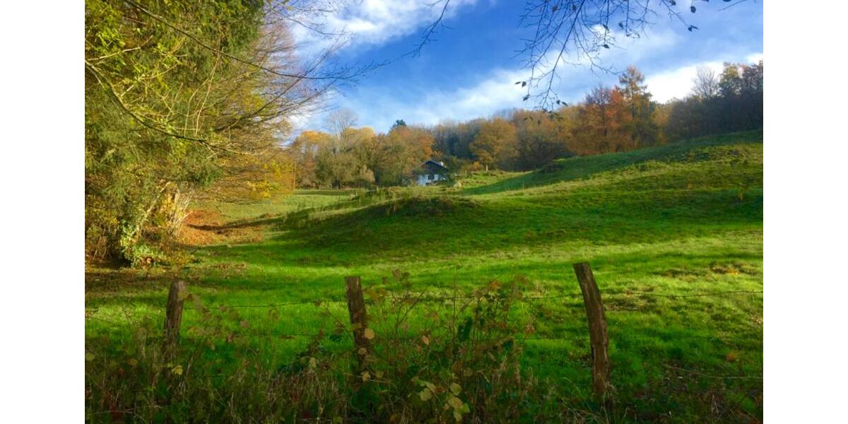 Bauernhaus, Landhaus Bonn Gronau - 5 Zimmer, 170 m&sup2;, 200.000&euro; | Angebot:26339817