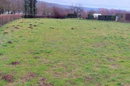 Grundstück zu verkaufen in Alfter Impekoven 289.500 € 822 m² zimmer