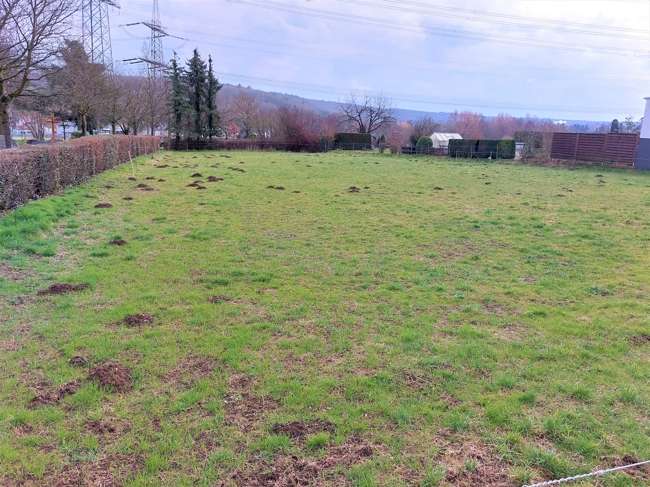 Grundstück zu verkaufen in Alfter Impekoven 289.500 € 822 m² zimmer