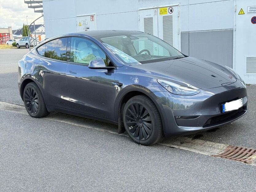 Model Y