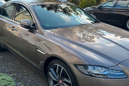Jaguar XF 176.500 km 14.900 &euro; Bonn 53125