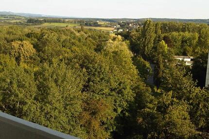 Wohnung Bonn Bad Godesberg - 2 Zimmer, 62 m&sup2;, 199.000&euro; | Angebot:26321310