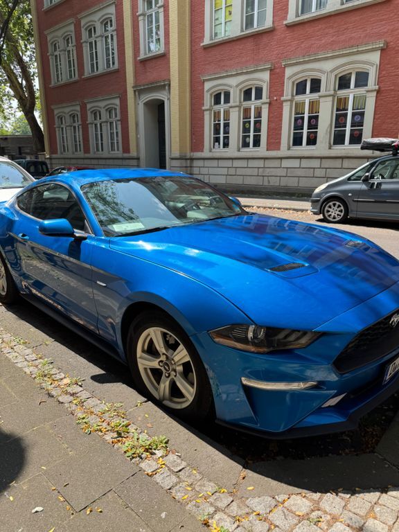 Mustang