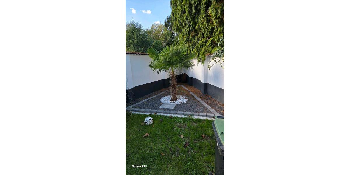 Einfamilienhaus Bonn Dransdorf - 2 Zimmer, 140 m&sup2;, 650.000&euro; | Angebot:27502937