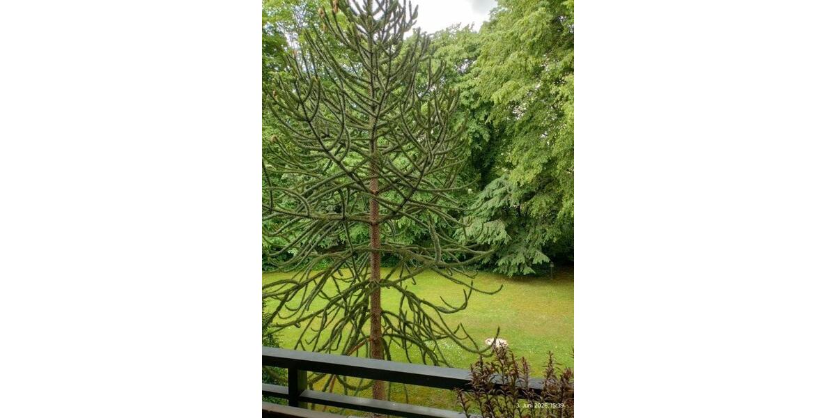 Köln-Marienburg repräsentative 3-Zimmer Wohnung mit großer Terrasse und TG-Stellplatz - Etagenwohnung Köln Marienburg | Angebot:26384750