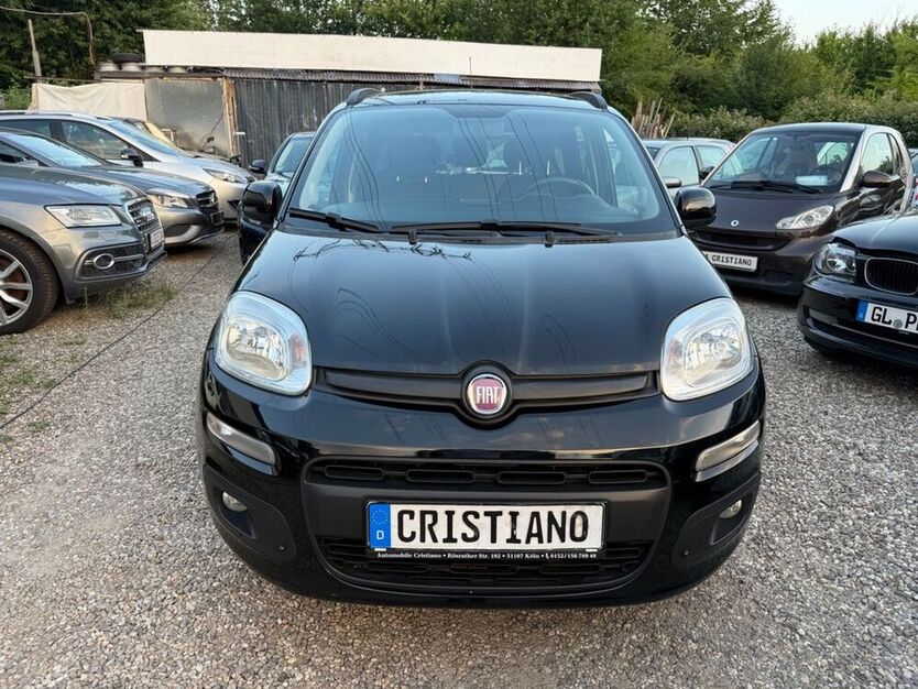 Panda