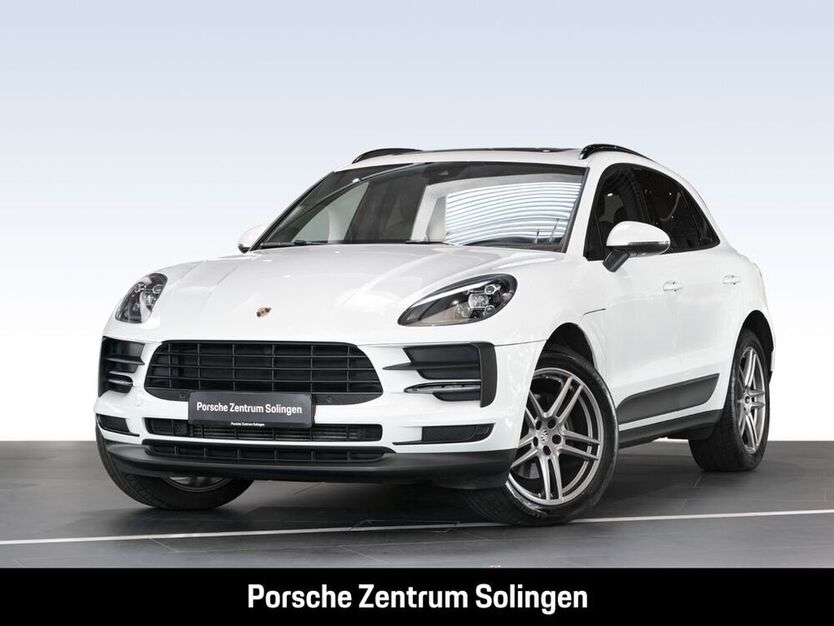 Macan