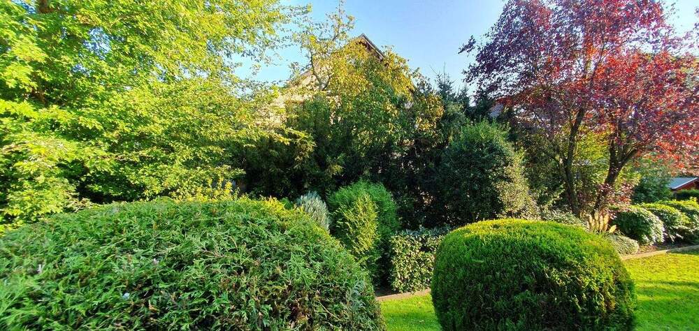 Terrassenwohnung Köln (Eil) Porz - 4 Zimmer, 136 m&sup2;, 549.000&euro; | Angebot:25290628