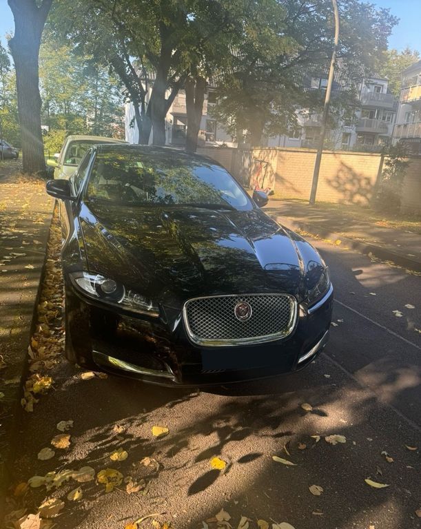XF
