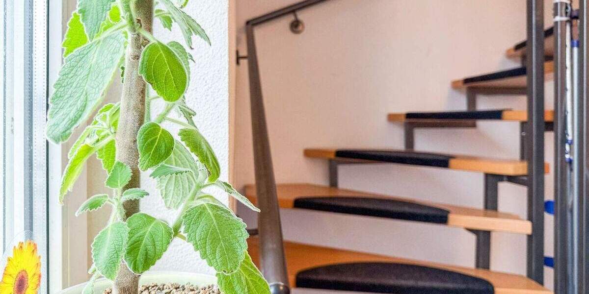 Mehrfamilienhaus, Wohnhaus Lohmar - 9 Zimmer, 242 m&sup2;, 745.000&euro; | Angebot:24876213