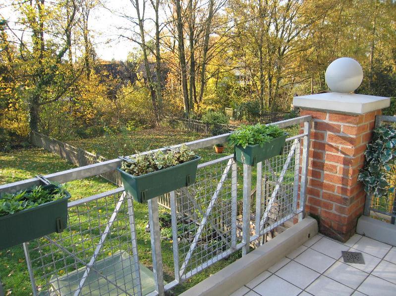 Renovierte 3-Zimmer-Wohnung mit Einbauküche in ruhiger und grüner Lage 3 zimmer