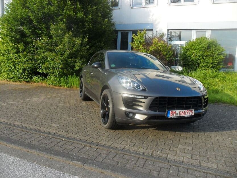 Macan