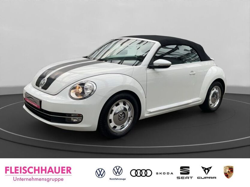 Beetle