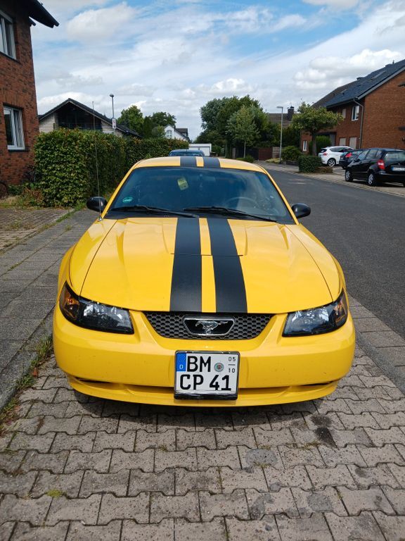 Mustang