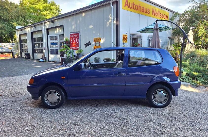 Polo
