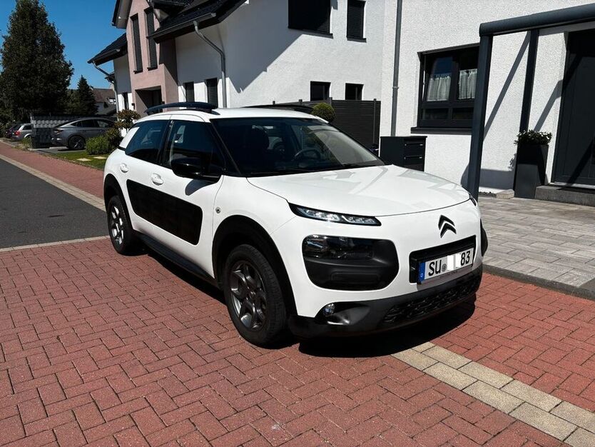C4 Cactus