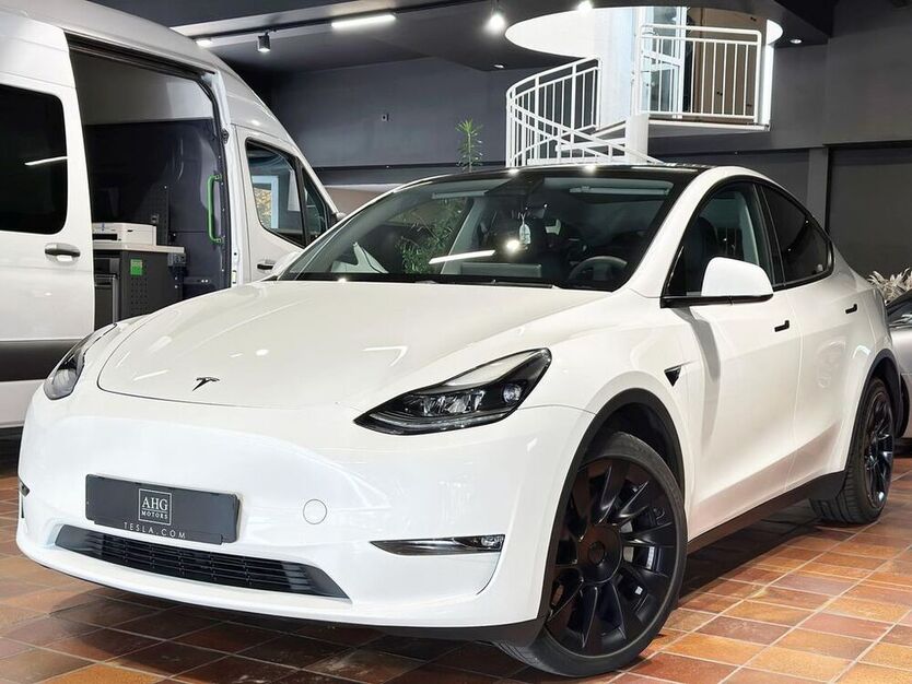 Model Y