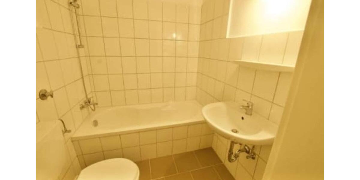 Kapitalanlage am Schlosspark! Renovierte 40m² – Nähe Ville Campus 1 zimmer