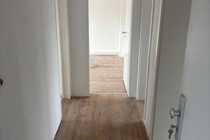 Wohnung Miete Elsdorf 2 zimmer