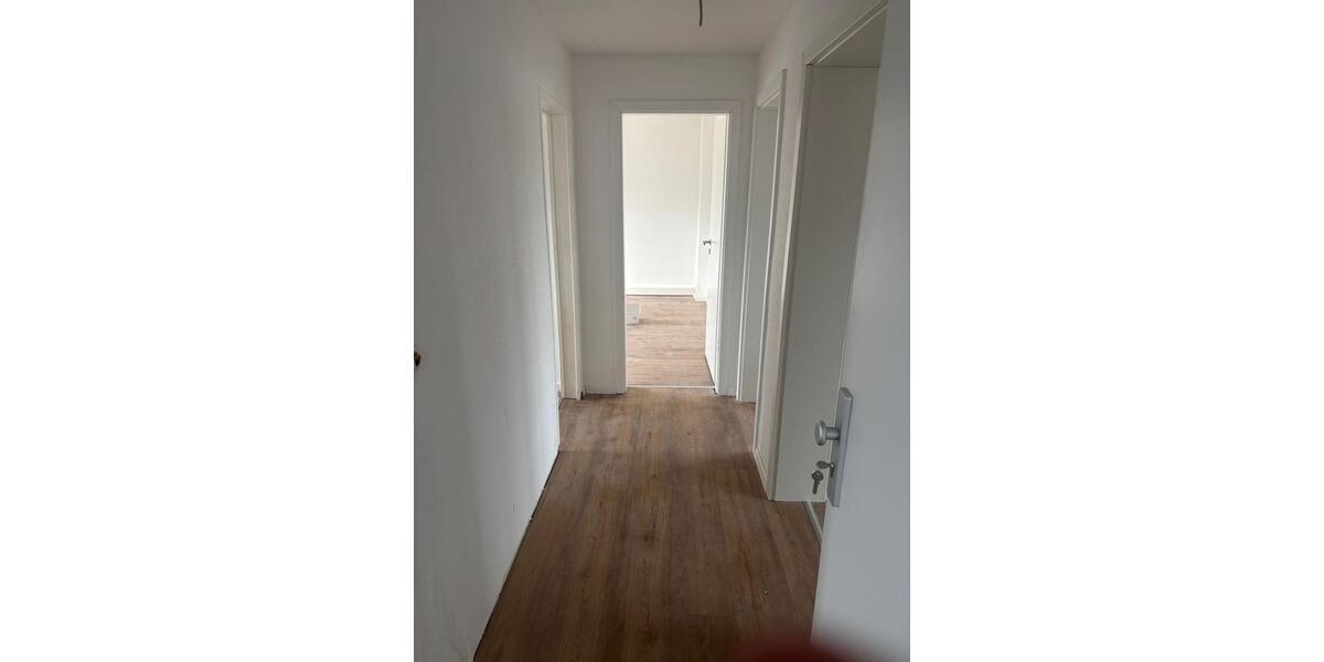 Wohnung Miete Elsdorf 2 zimmer