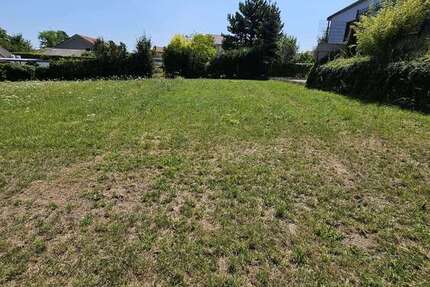 Grundstück zu verkaufen in Wachenheim 199.000 € 1000 m²