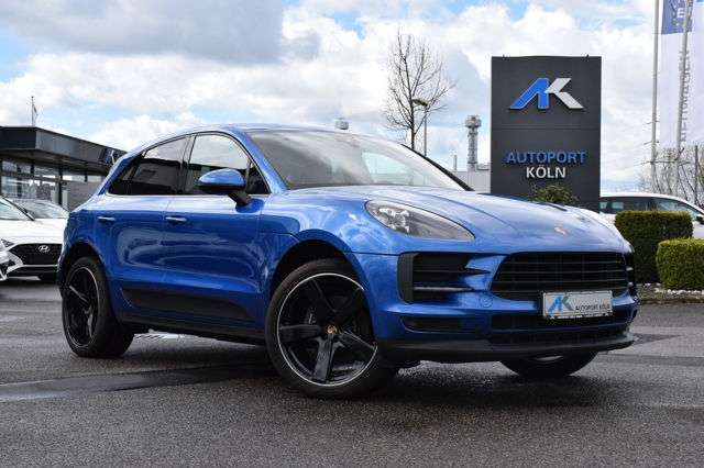 Macan