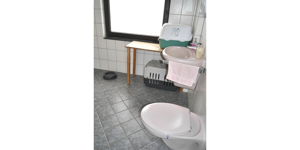 SG, freist. EFH, 5 Zi., 160m² Wfl., 747 GrSt., 2x Doppel-Grg.+CP, Keller, Terr. Stellpl. 5 zimmer