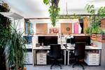 Werde Teil der Kölner Coworking Kommune - All-in-Miete