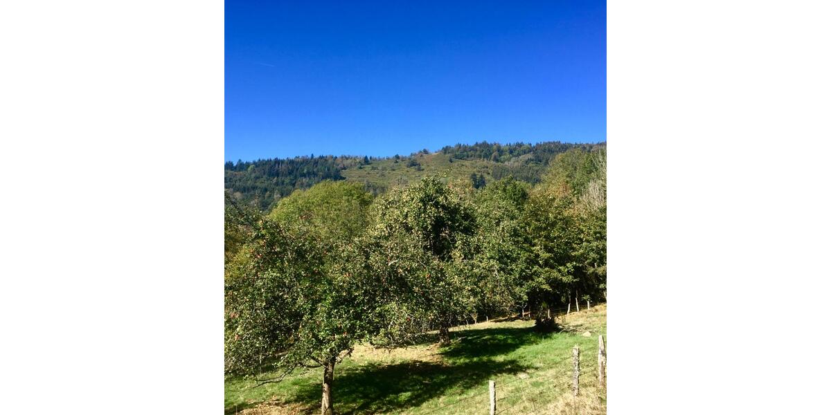 Bauernhaus, Landhaus Bonn Gronau - 5 Zimmer, 170 m&sup2;, 200.000&euro; | Angebot:26339817